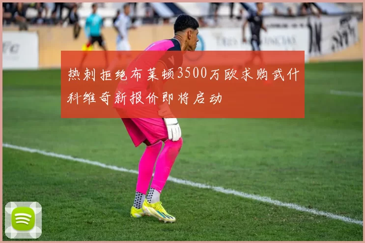 热刺拒绝布莱顿3500万欧求购武什科维奇新报价即将启动