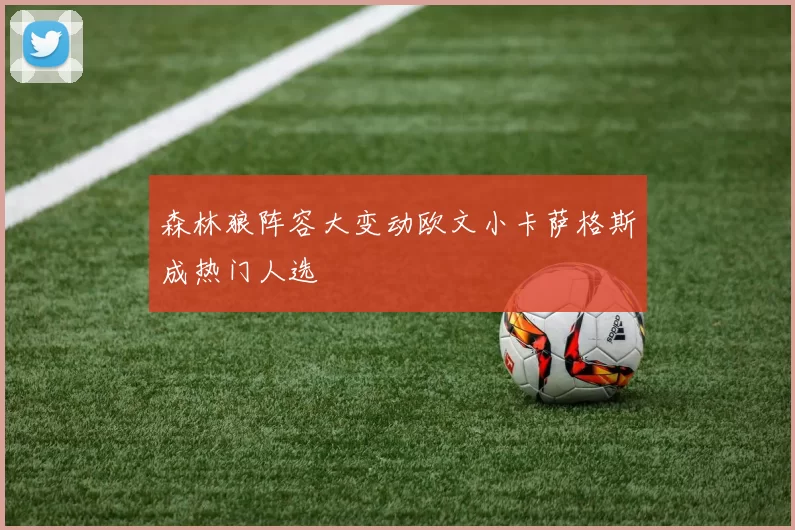 森林狼阵容大变动欧文小卡萨格斯成热门人选