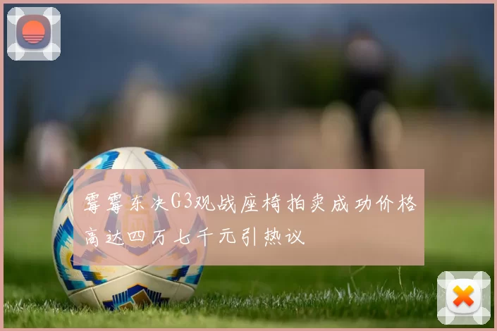 霉霉东决G3观战座椅拍卖成功价格高达四万七千元引热议