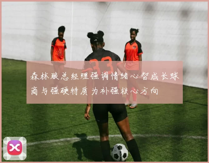 森林狼总经理强调情绪心智成长球商与强硬特质为补强核心方向